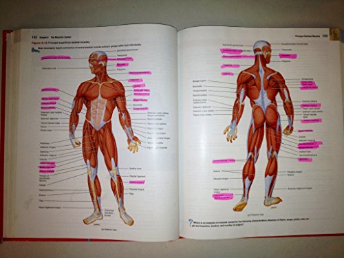 Introduction to the Human Body