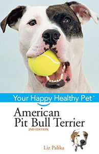 American Pit Bull Terrier 