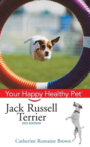 Jack Russell Terrier
