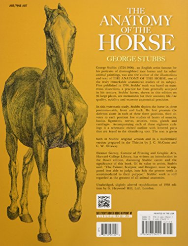 The Anatomy of the Horse