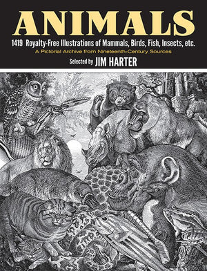 Animals