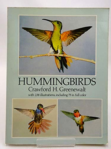 Hummingbirds