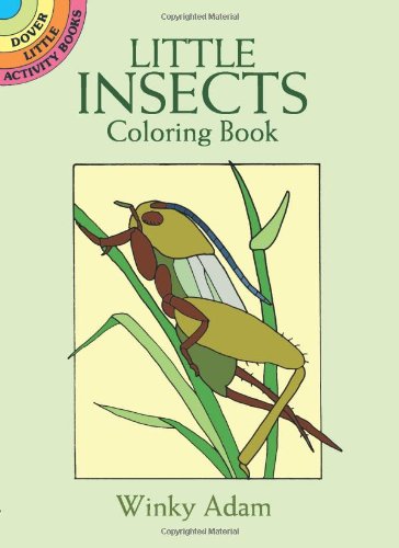 Little Insects Coloring Book