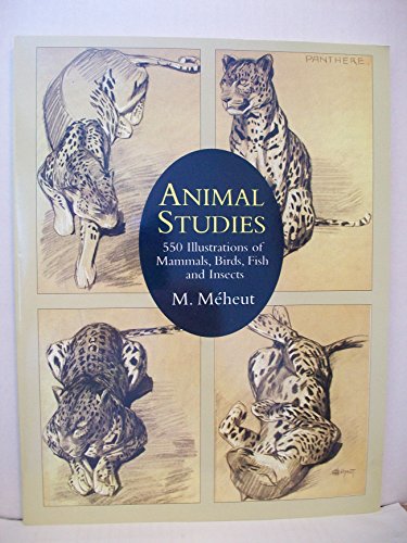 Animal Studies