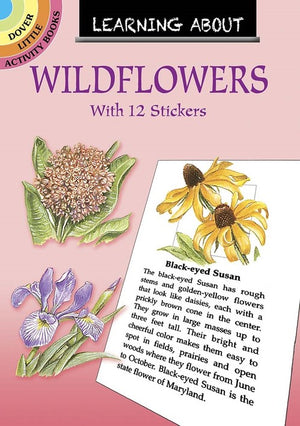 Learning About Wildflowers