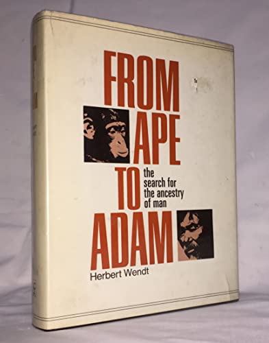 From Ape to Adam
