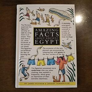 Amazing Facts About Ancient Egypt 