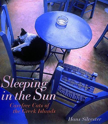 Sleeping in the Sun