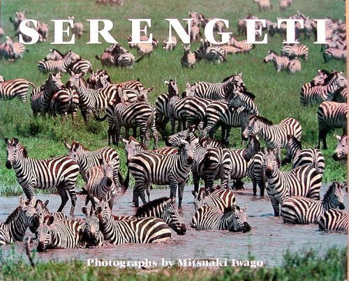 Serengeti