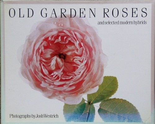 Old Garden Roses
