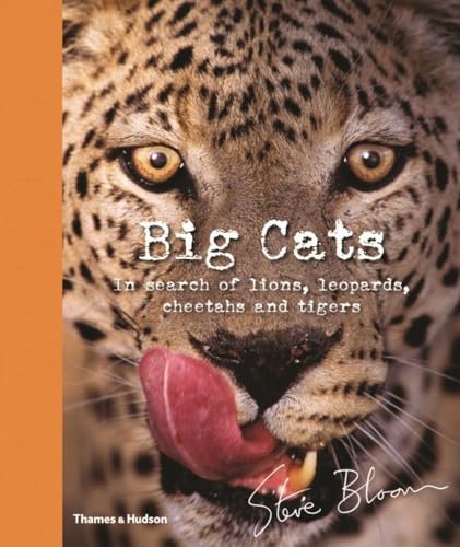 Big Cats