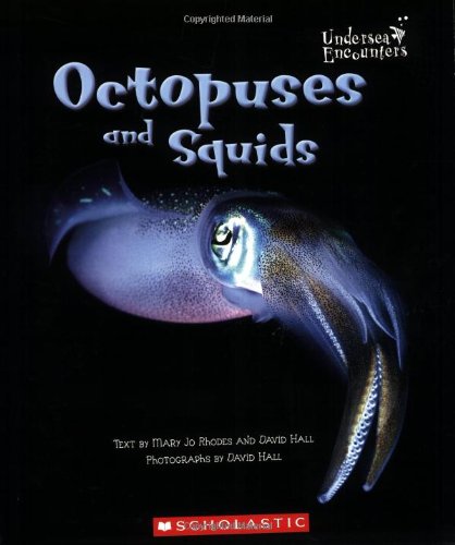 Octopuses and Squids