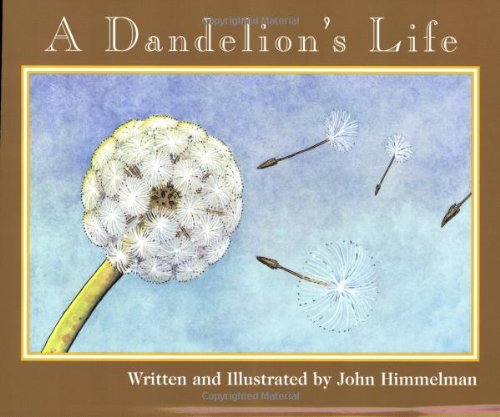 A Dandelion's Life