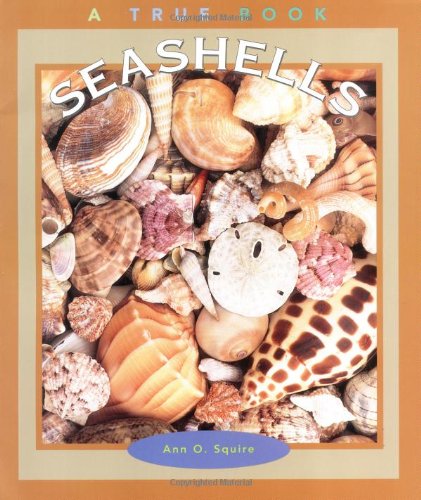 Seashells