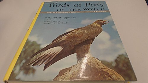 Birds of Prey of World