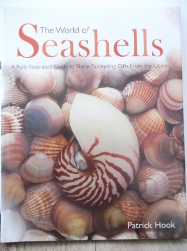 The World of Seashells