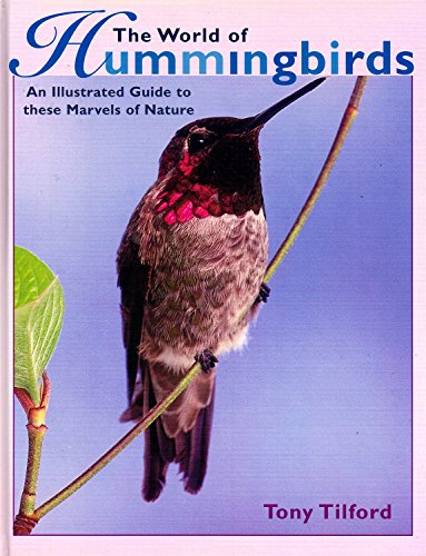 The World of Hummingbirds