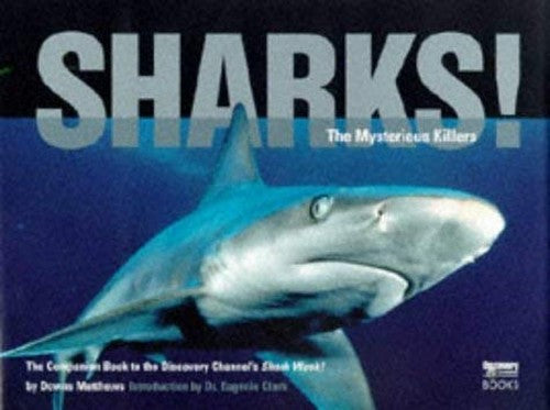 Sharks!