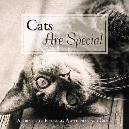 Cats Are Special