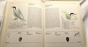Illustrated Book of Birds 