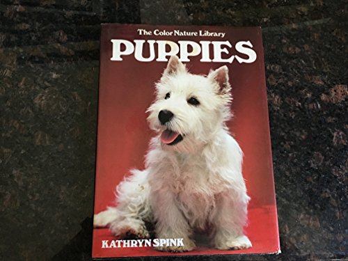Puppies
