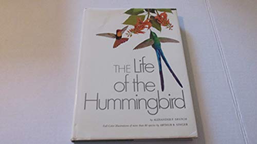 Life of the Hummingbird