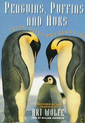 Penguins, Puffins and Auks