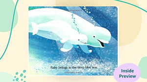 Baby Beluga