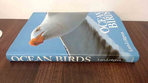 Ocean Birds
