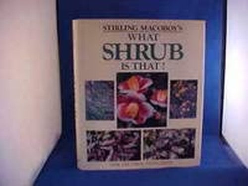 What Shrub Is That