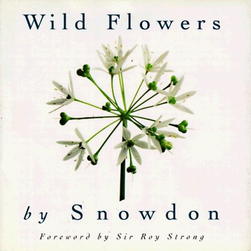 Wild Flowers