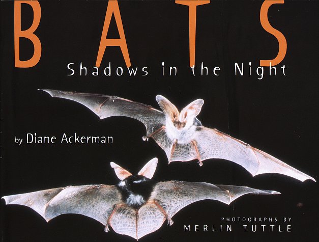 Bats
