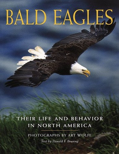 Bald Eagles