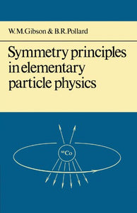 Symmetry Principles Particle Physics 