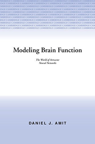 Modeling Brain Function
