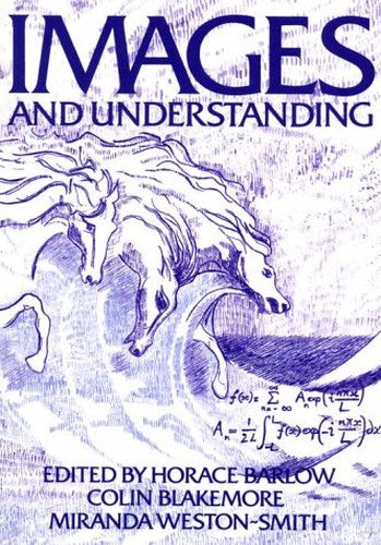 Images and Understanding