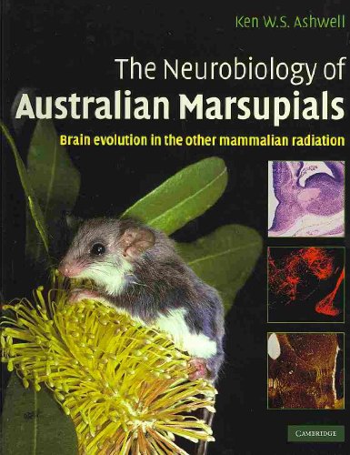 The Neurobiology of Australian Marsupials