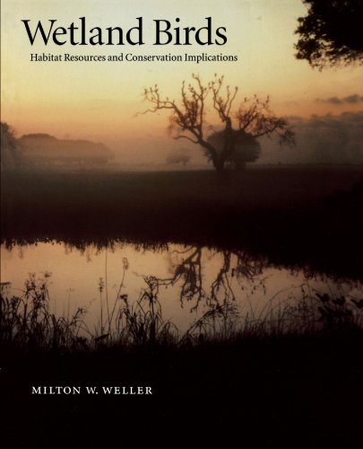 Wetland Birds