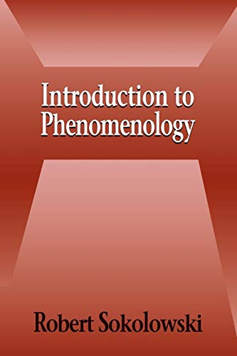 Introduction to Phenomenology