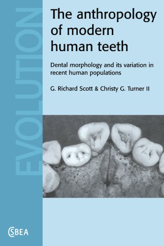 The Anthropology of Modern Human Teeth