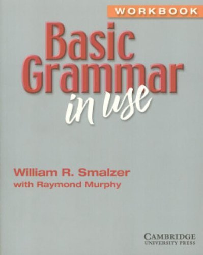 Basic Grammar in Use Workbook