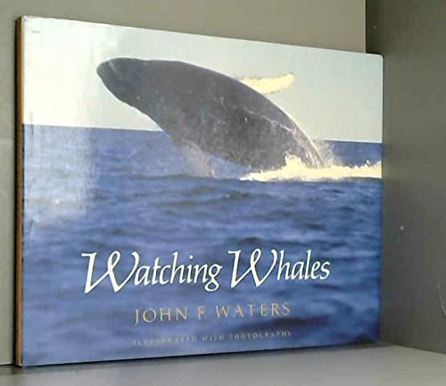 Watching Whales