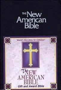 New American Catholic Bible (Navy Blue Imitation Leather) 