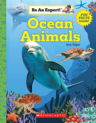 Ocean Animals (Be an Expert!)