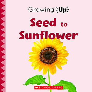Seed to Sunflower (Growing Up) (Paperback) 