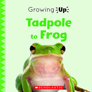 Tadpole to Frog (Growing Up) 