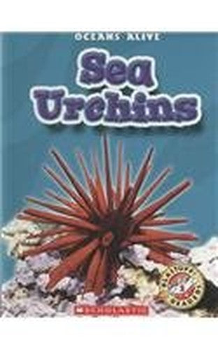 Sea Urchins
