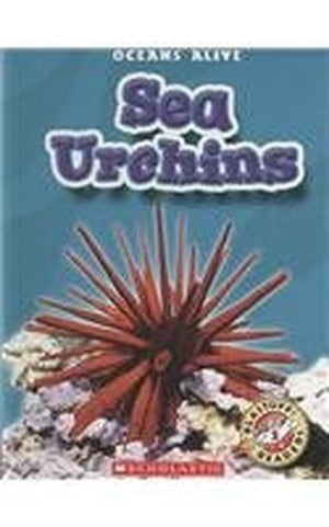 Sea Urchins