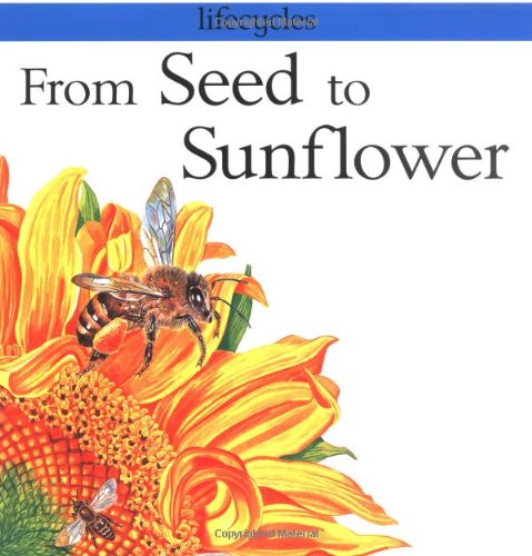 From Seed to Sunflower