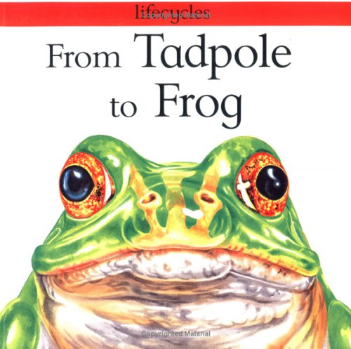 From Tadpole to Frog